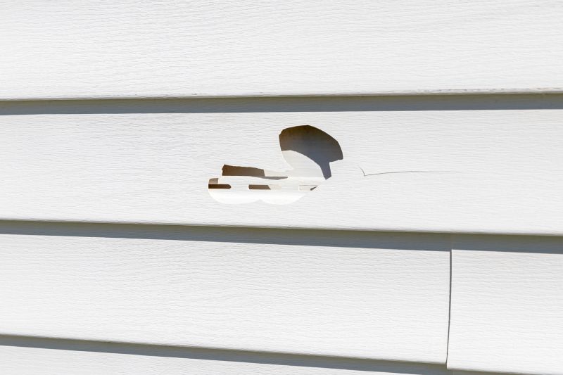 Vinyl Siding Repair - Image 7