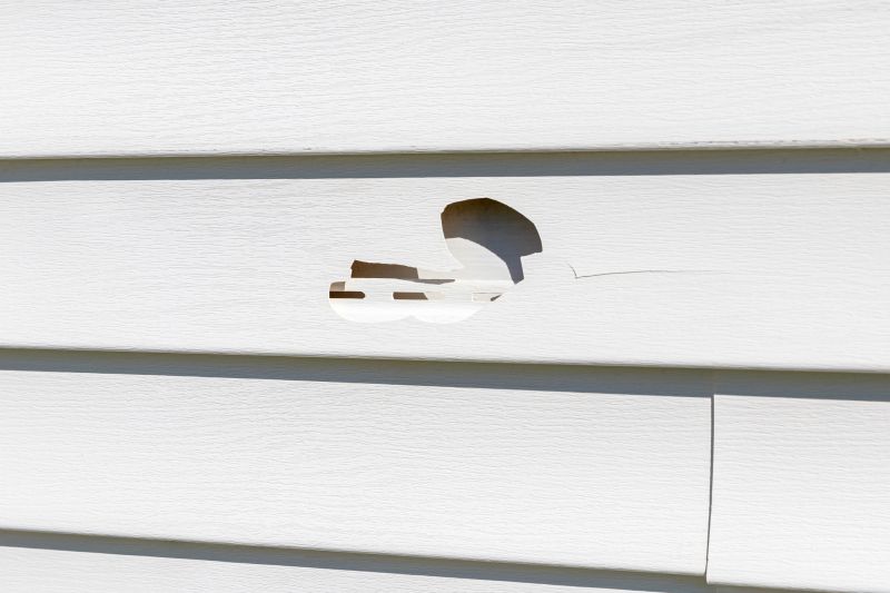 Vinyl Siding Repair - Image 8